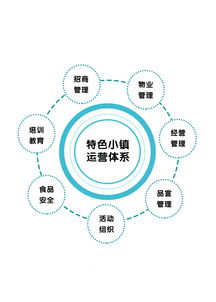 專訪光合文化創意集團董事長趙興朋 特色小鎮是個有機生命體，數字文化創意內容的應用與服務